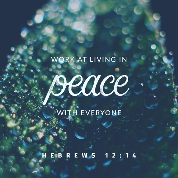 DONT GIVE UP! CONTINUE TO DO GOOD 🙏🏽🙏🏽🙏🏽 - Picture 8 of 16